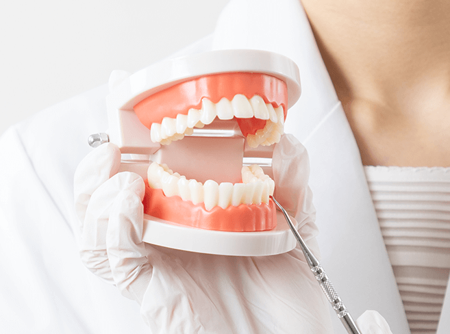 フルマウスリコンストラクション