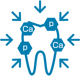 再石灰化作用の促進